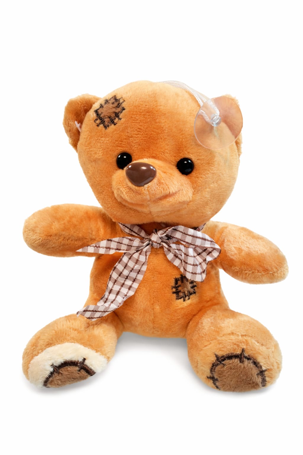 Oso de Peluche - Imagen 2