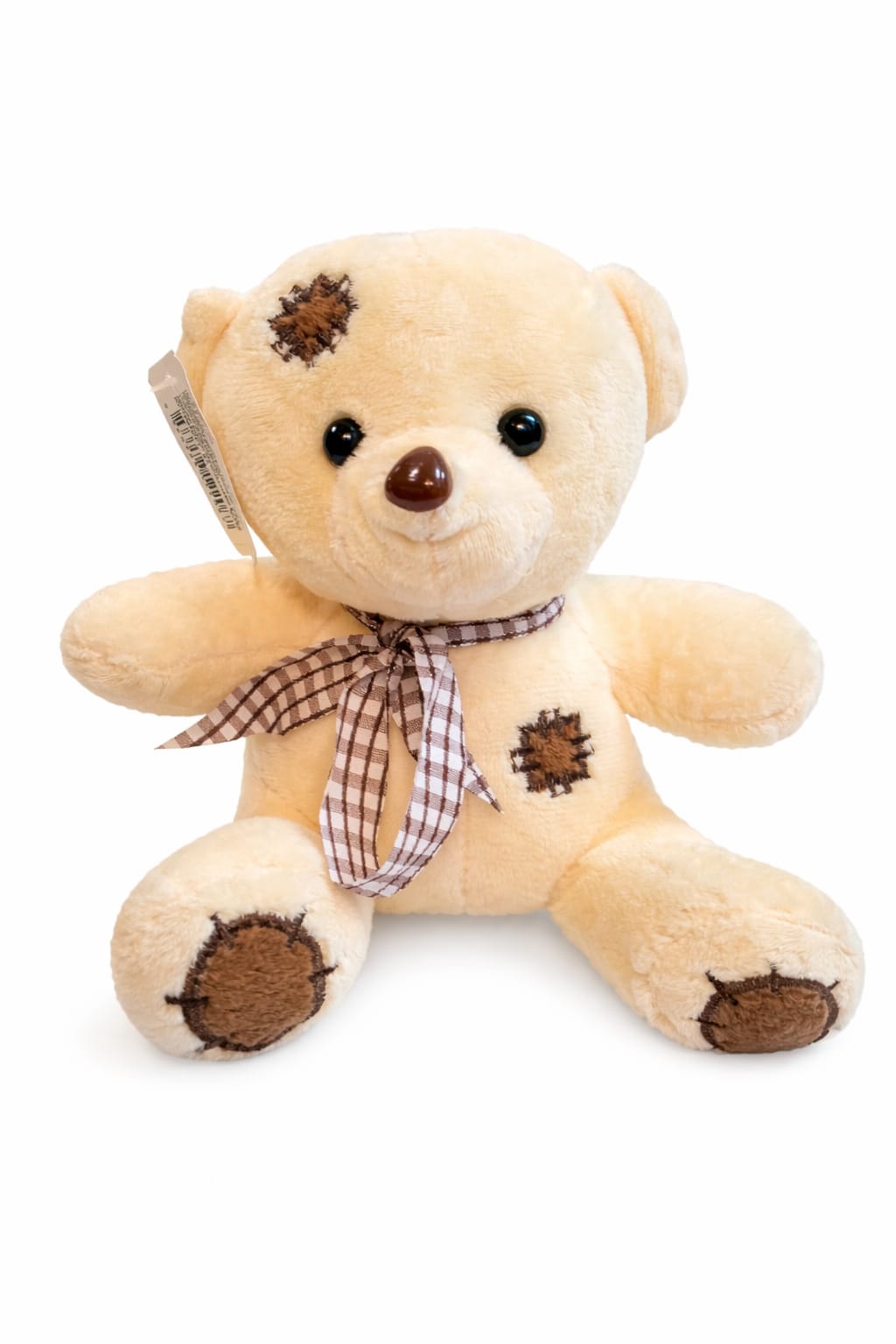 Oso de Peluche